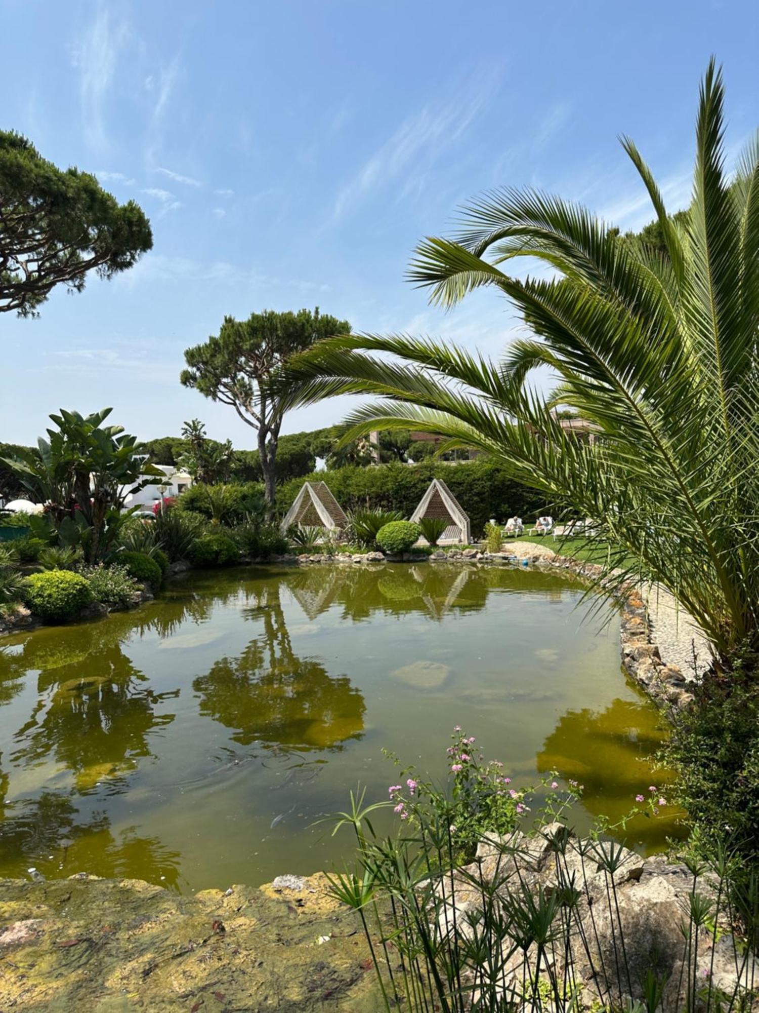 Falesia - Adults Only 4* Albufeira