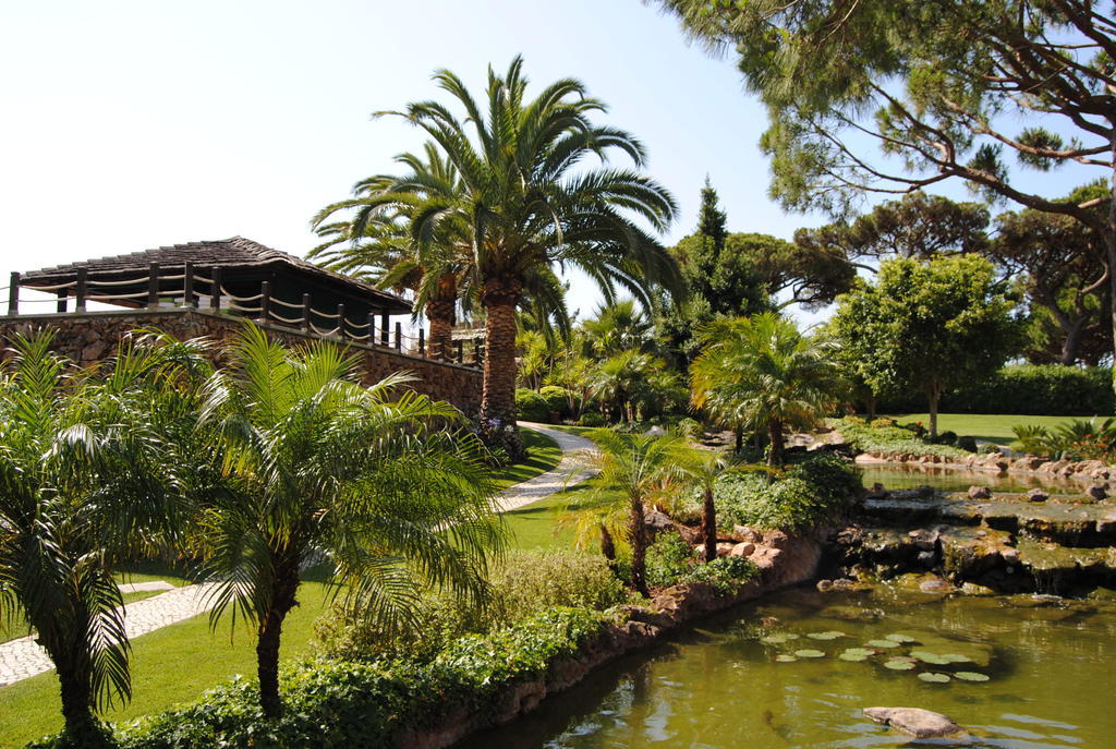 Falésia - Adults Only Hotel Albufeira