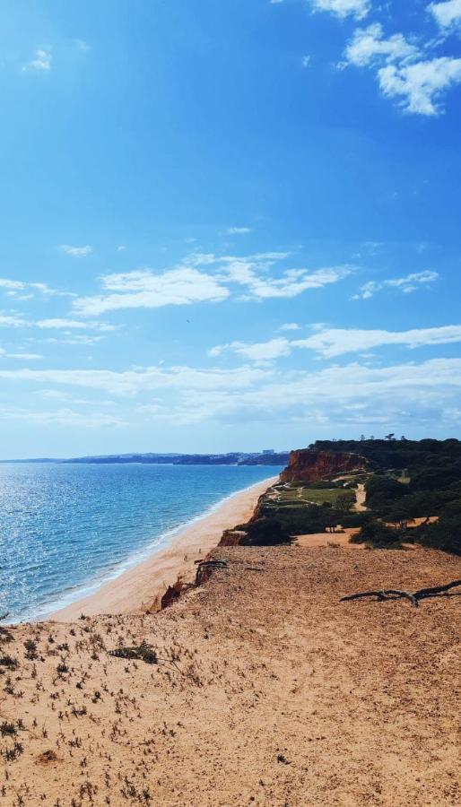 Hotel Falésia - Adults Only Albufeira