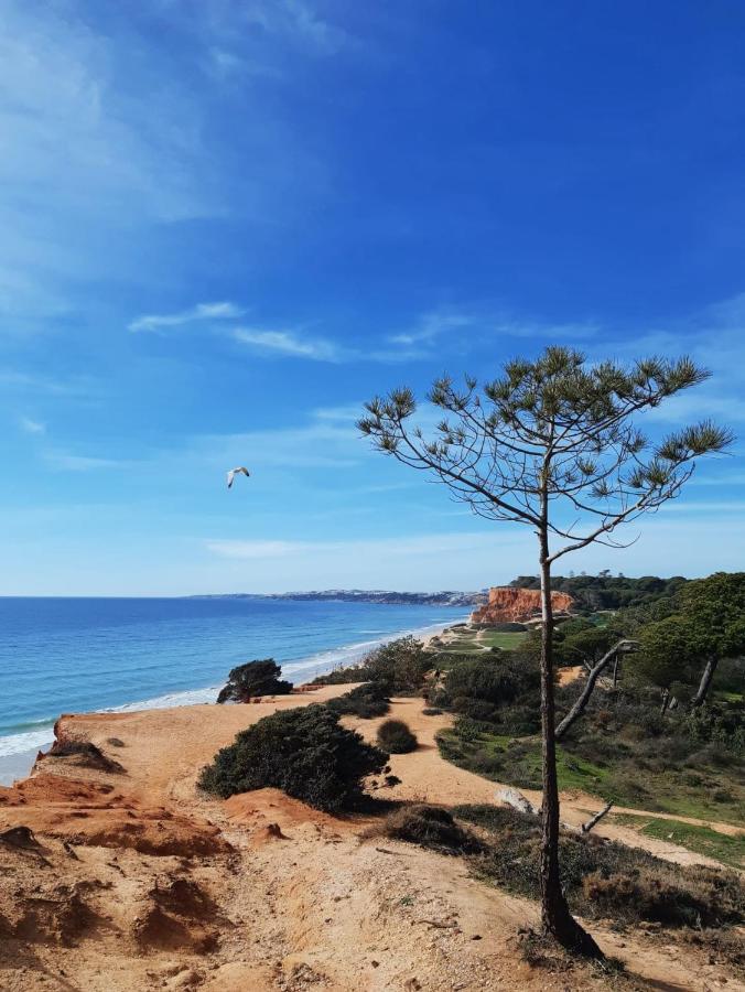 Falésia - Adults Only Hotel Albufeira